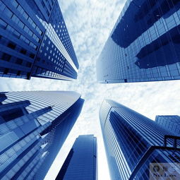 纽兰投资咨询 立足上海，绘就专业投资新蓝图